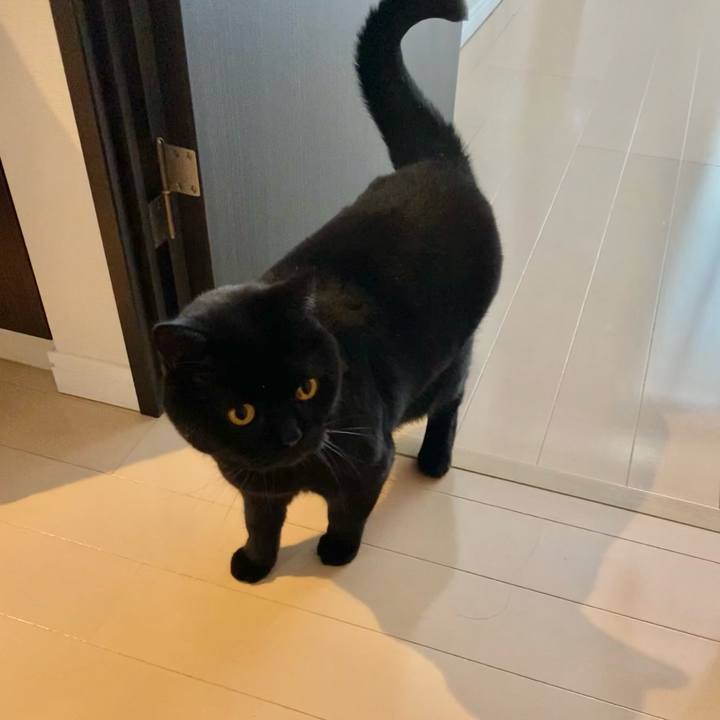 038c40f3 24c9 4e1a af85 7cc4cf93c55e 1611623026396