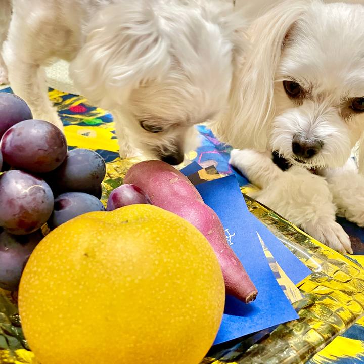 038c44af 73bf 44c4 9660 17a3fad3dea2 1630582884235