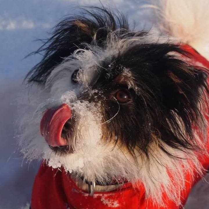 038c4eb8 68c2 419b 852a 213b8a872174 1516918171992