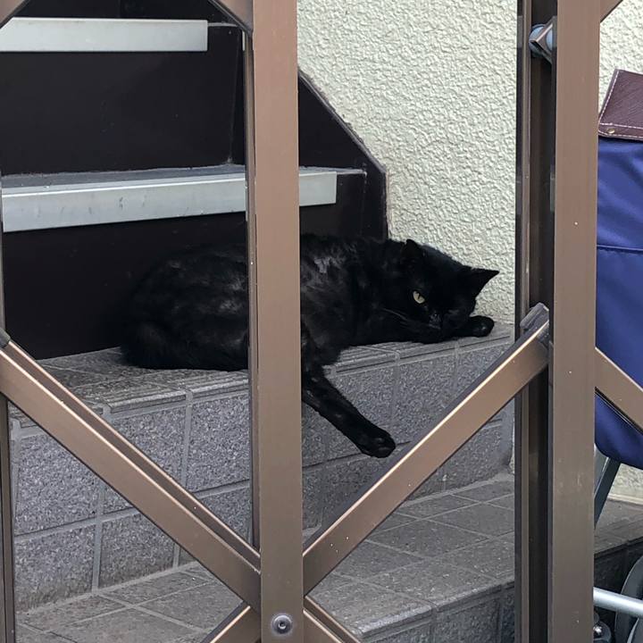 038c558f 64ac 4a03 8bef da04692d89a4 1566721503651