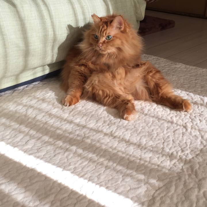 038c6692 77bf 4f3e b1af fa62169649fb 1511213826860