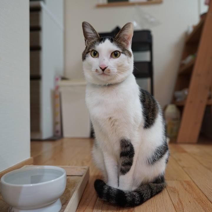 038c7460 ae16 4456 9898 e2712bcc45f3 1546220695933