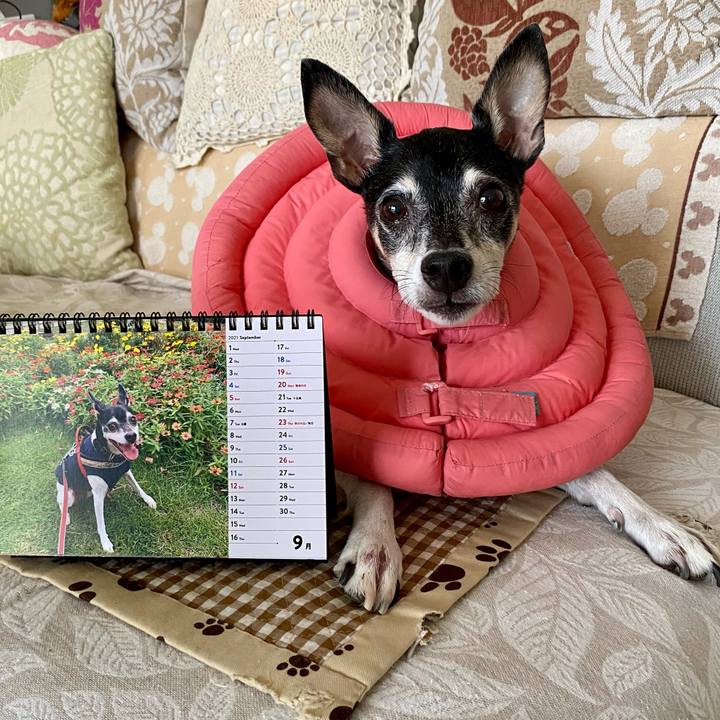 038c7a80 cf5a 4832 9be8 af46ad2dc393 1630448973705