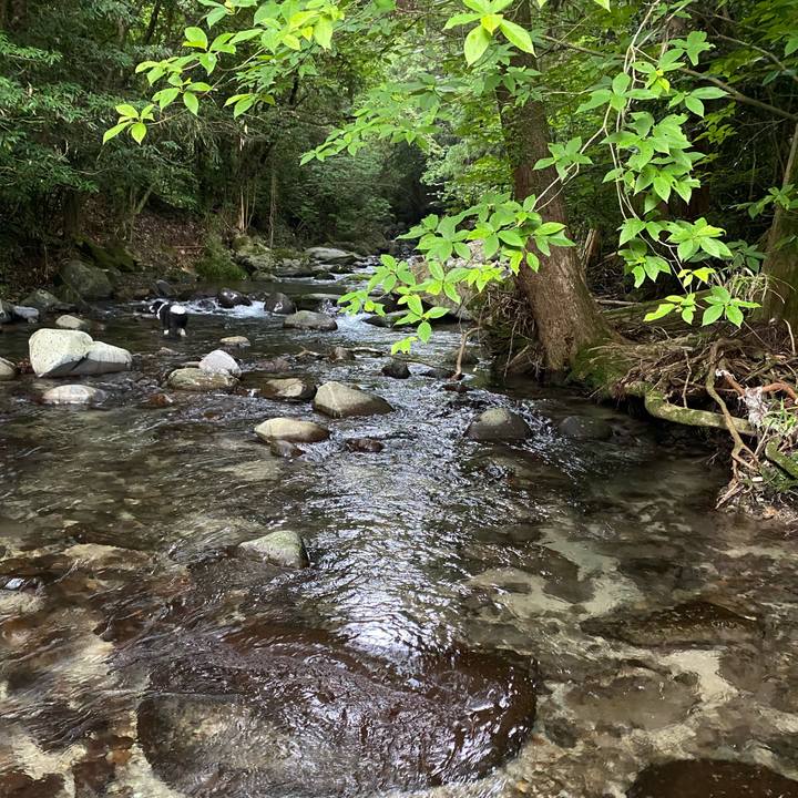 038c95cd 23ae 4fec 94c6 ed5bde4b4be2 1721110198433