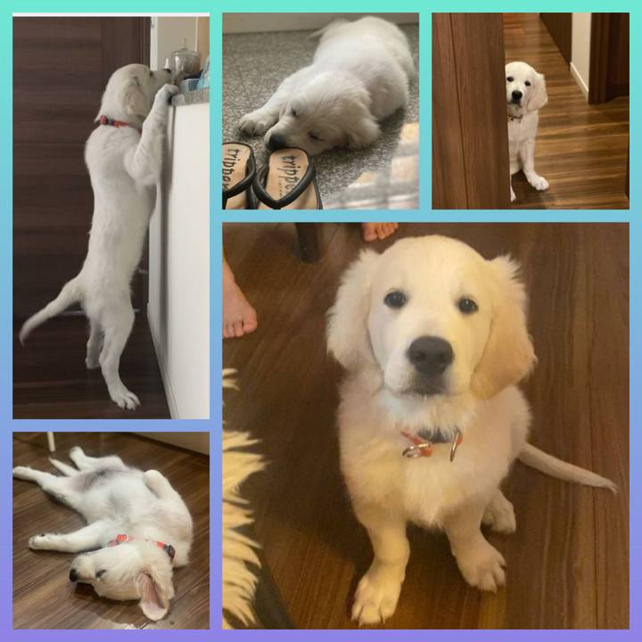 038c9ea4 00bb 4eb8 84bd b963151b5889 1626647731726