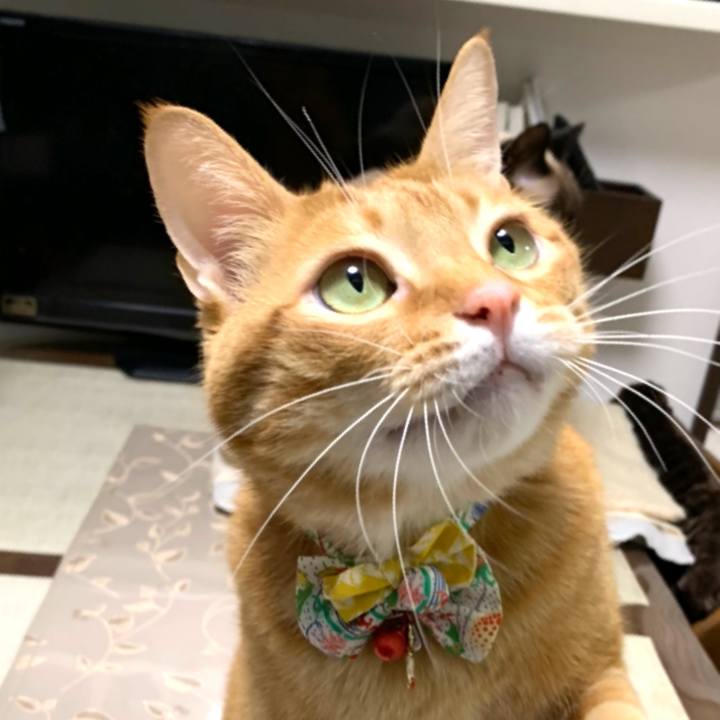 038cc564 0206 4a16 9233 272305f2f1d2 1577098186467