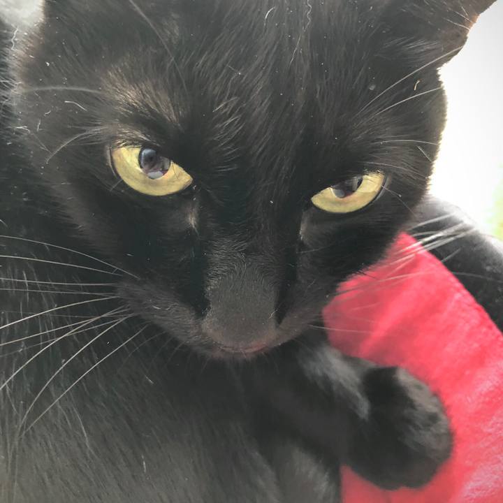 038d49ca d5f7 4828 aa04 8fa8048db7ce 1618021623028