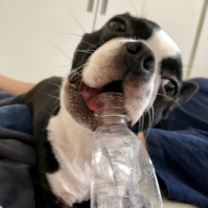 038d666c 4ad3 4cd4 825d 1790fe671452 1532404339093