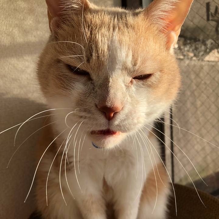 038d7673 374c 4609 ae24 6cce8a4c42f3 1513208312025