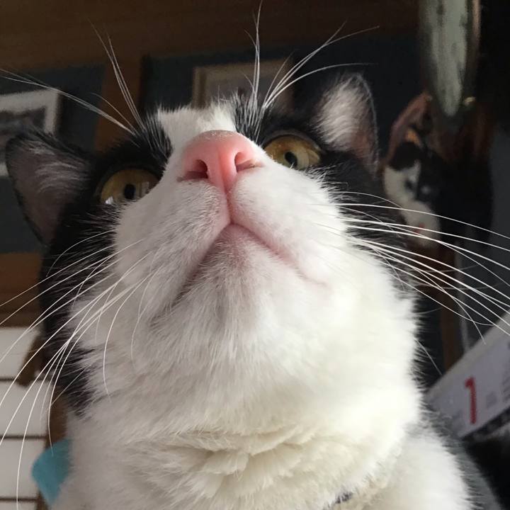 038d7edd a07f 4634 af87 c500b02c33ea 1656758075107