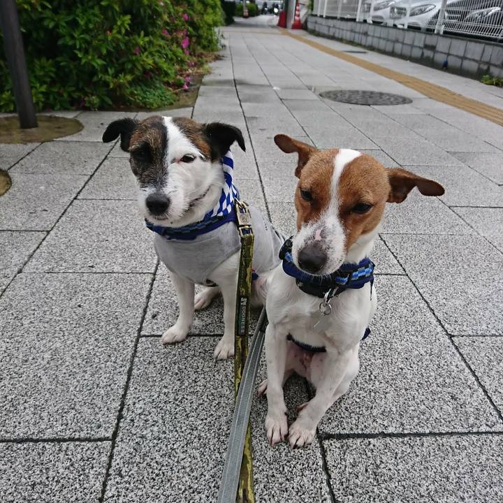 038dffa6 f76c 42cc ab4b bf0f85576f52 1525904304048