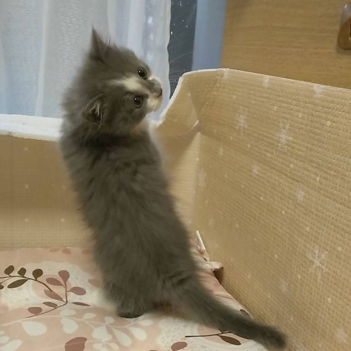 038e12b7 18b7 46a7 b7e9 4c6fbb5658c4 1560036603116