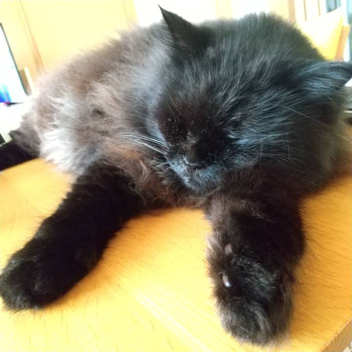 038e55fd 9b53 49ed 9e2b 4fb152d232d4 1663634800018