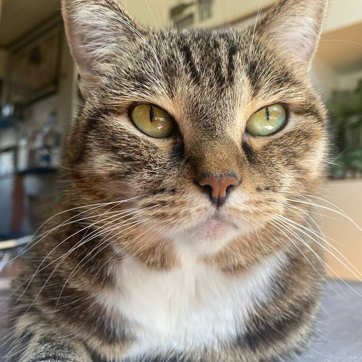 038e5b88 f178 434b b2a3 a7997993f947 1664070711795