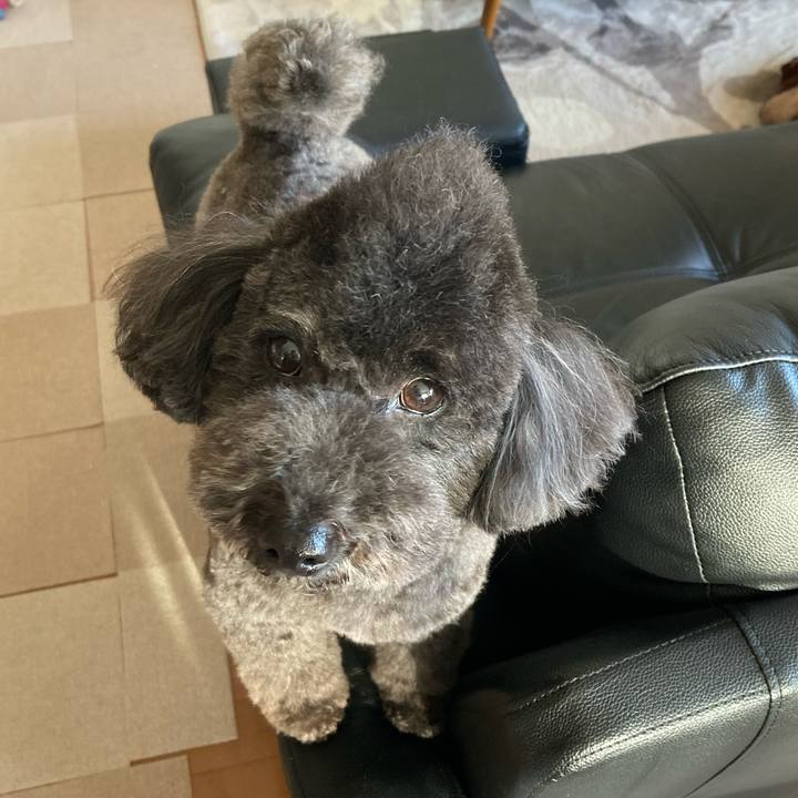 038e5e14 3f11 48dd 90d4 24c78968ca26 1619525203824