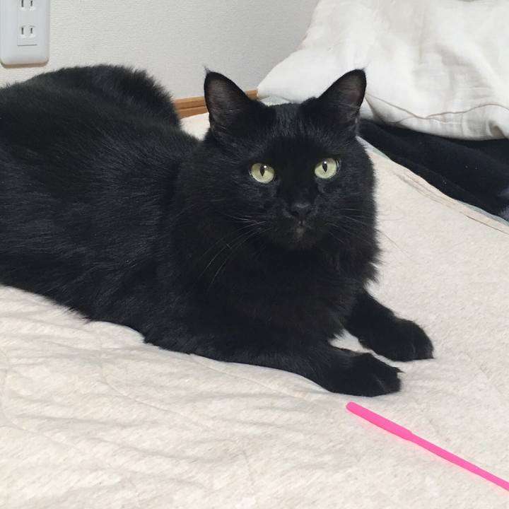 038e6705 0b2c 41e8 a04e 454715c617fb 1538221643034