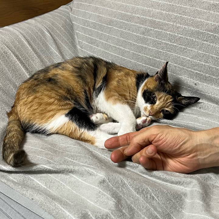 038e9cfe 3987 46ea 8cdb 9b728e5f585e 1675687059068