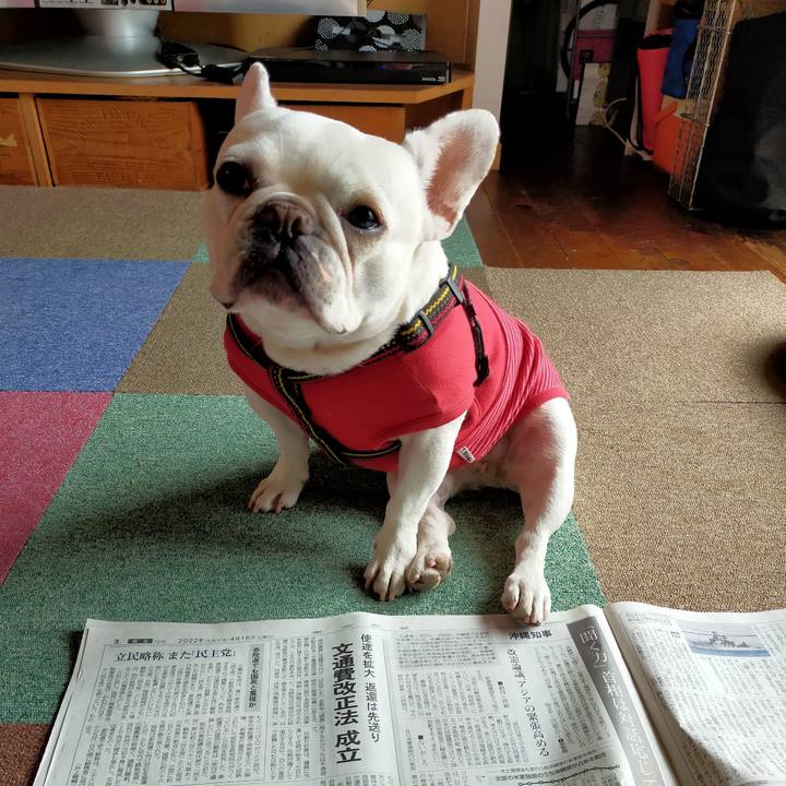 038ec674 5895 4de4 b56b 6817b1fbcf82 1650235920899