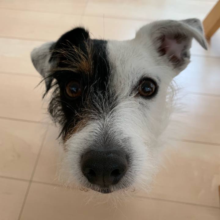 038ed37c 12f2 4005 a828 61d8e12bf9c0 1557874967812