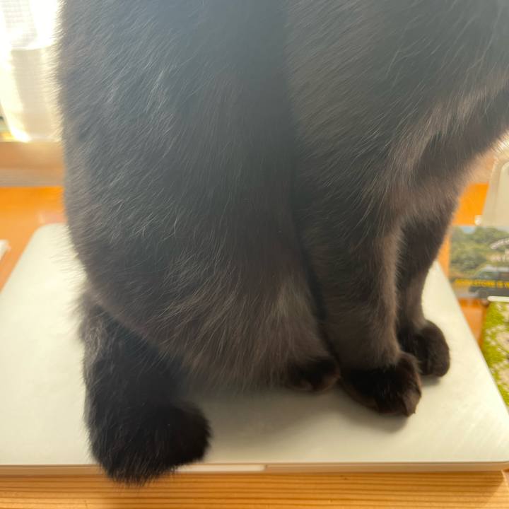 038eeed6 57c7 4222 a1cf 1197ff9b8855 1702094151431