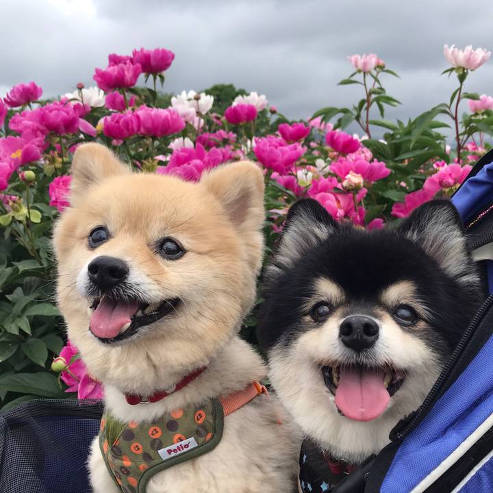 038ef99e 436f 439a 94ad 06ad89746236 1622255700808