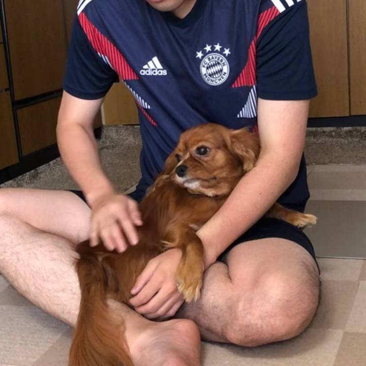 038f10ca 72eb 42db 93be 1f815291a95c 1563230618160