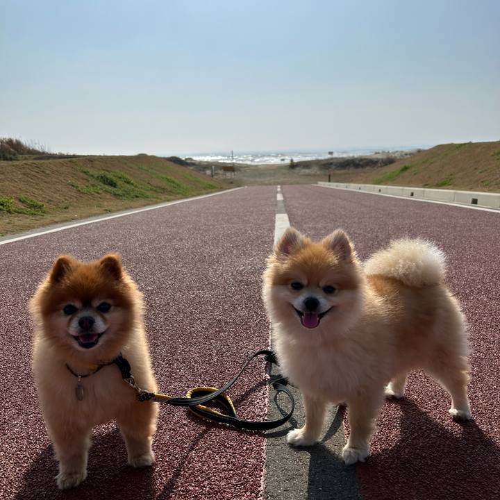 038f1d16 2e63 4683 8d22 765a538a622c 1679662536988