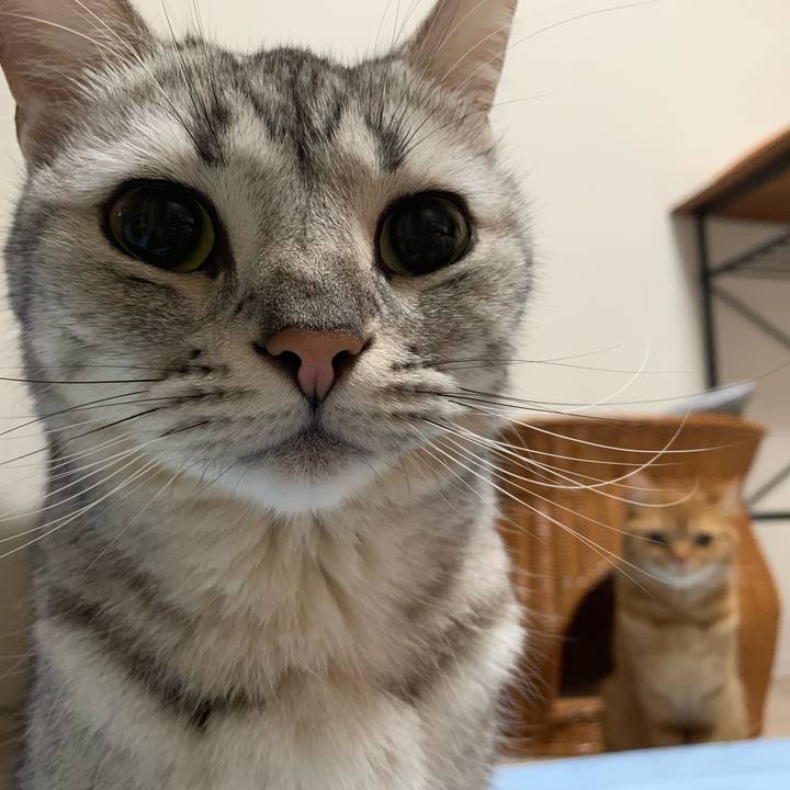 038f3e0a 13c7 4cd8 a888 cfc663904491 1560642650762