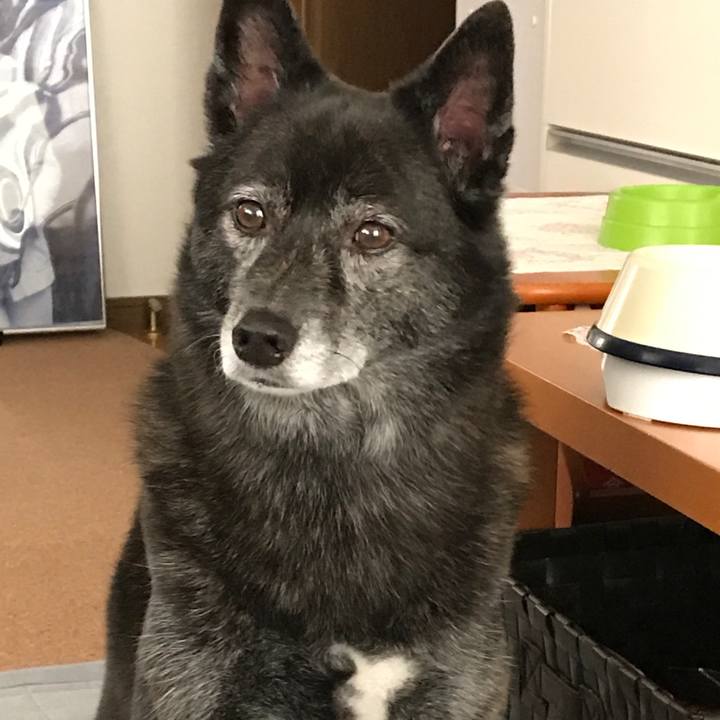 038f5074 a4be 42cc a3b5 924cd028b890 1507900099235