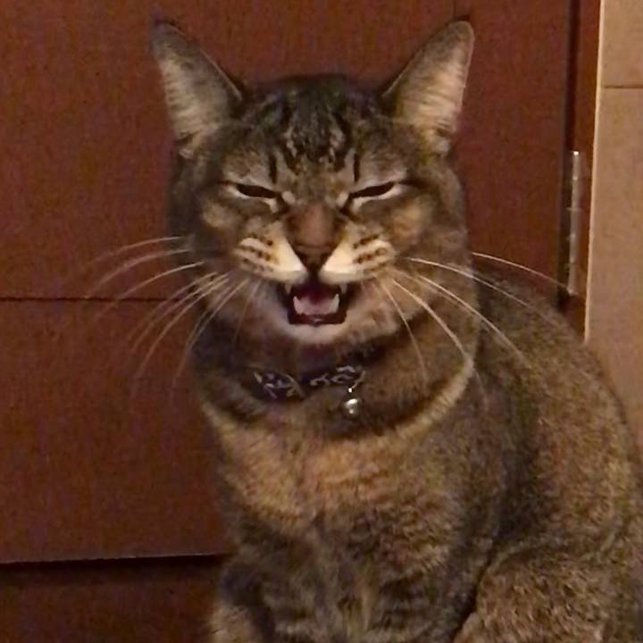 038f606a e71f 4b05 a5c3 e4d29824493e 1513479523478