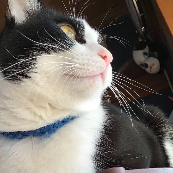 038f8beb 605d 44d3 b30b 40ebefa901af 1700981143643