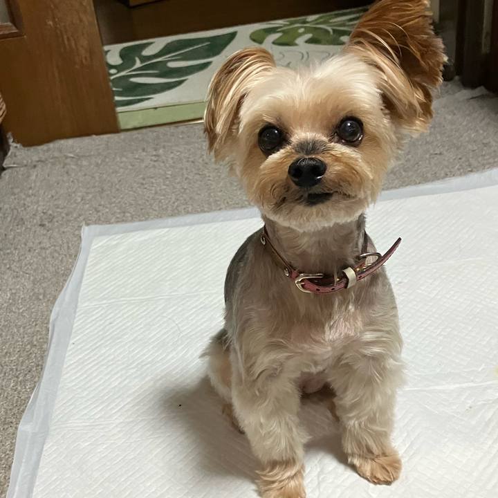 038f8faa 9b94 4d7e a59b 09e19147dafc 1759659708669