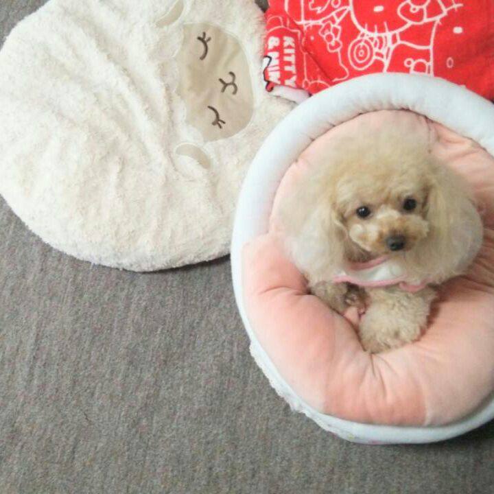 038f942e 596a 49fd b454 fd71f6ff8759 1531996158433