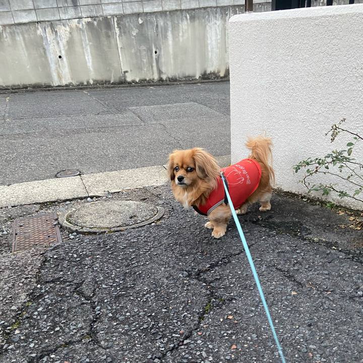 038fa01d 7e25 45ff a52a 5ddd74ac95f5 1612133135082