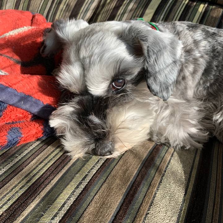 038fa157 f866 4951 8f2d e99cbbd98631 1607739516961