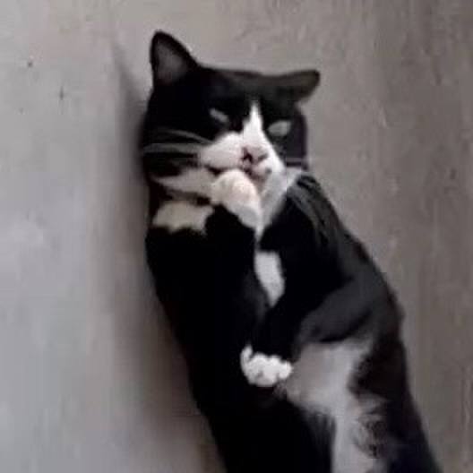 038fc42c 2b9a 40c4 97d1 633c664730a2 1757861661564