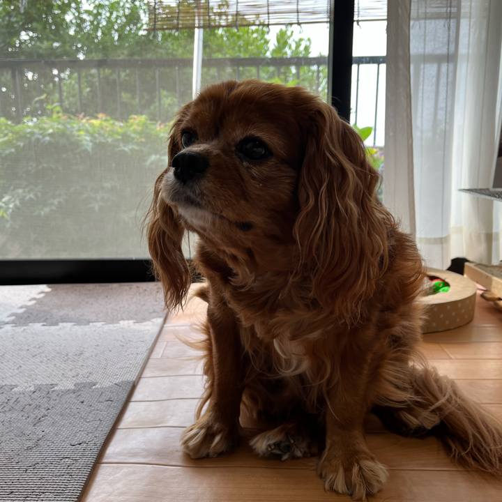 038fe0a9 69ca 4c5d af5d 6a1169dc1b26 1683931005923