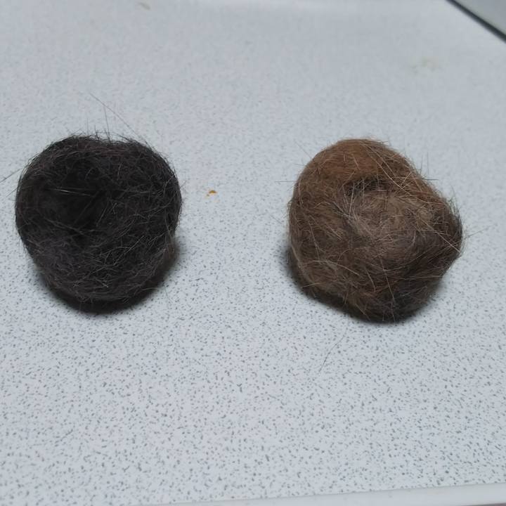 038ff4da df76 45dd a70c 2857cce861c1 1560864860423