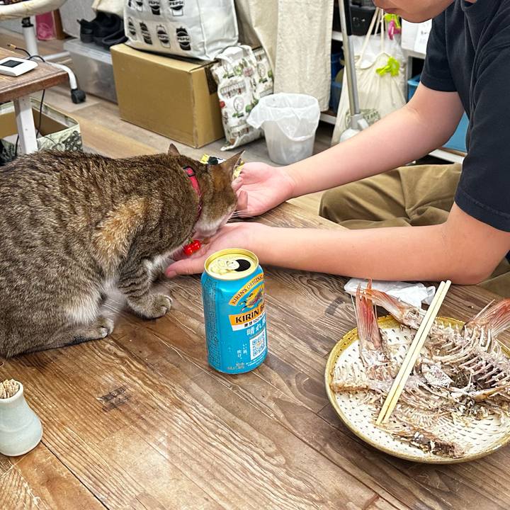 039019d2 bf53 48c7 9731 26cdeda937a7 1756294799113