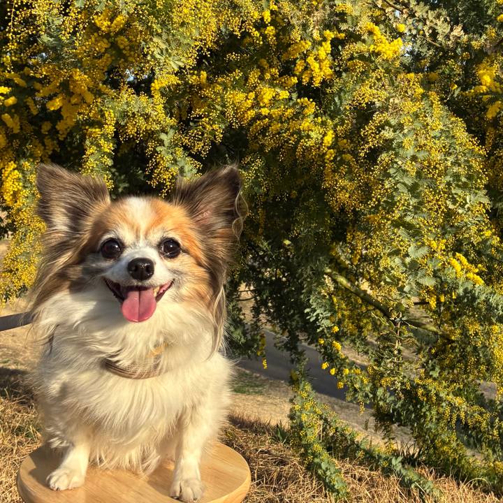 03904e4b acad 42bb 9e89 9250d52807cb 1772878737766