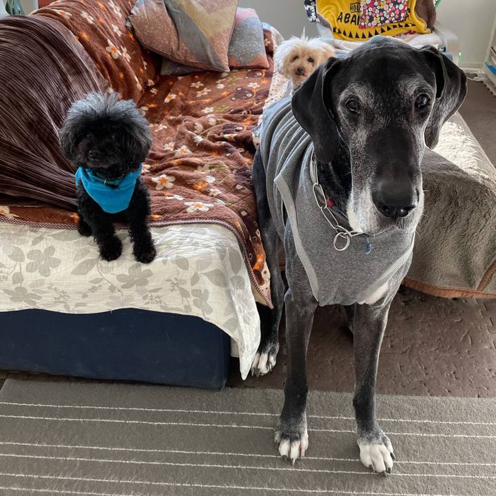 03907a6e 648b 465c 9fc6 5d01b678184a 1614724735644