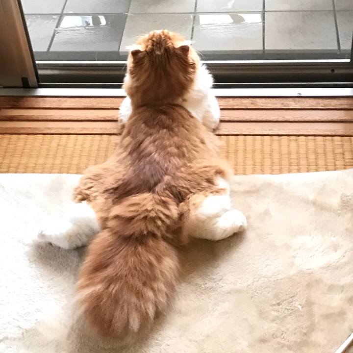 03909344 1e9b 4a4b 9317 702dcd169c51 1529284987197