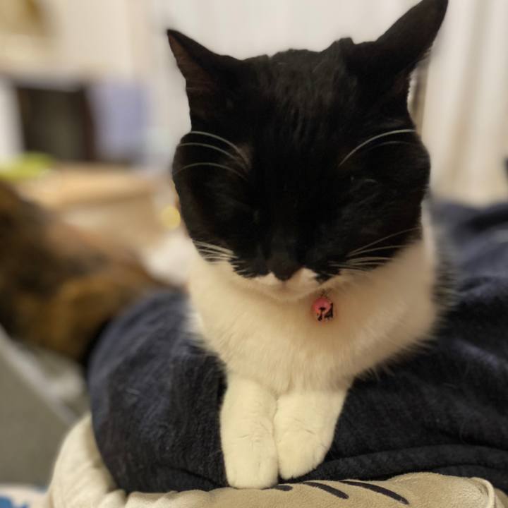 0390942b dd8c 47dc 91a5 bdd59efd6dac 1706583070582