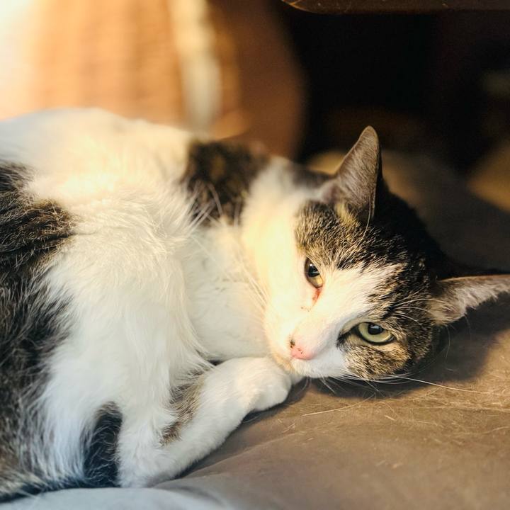 03909c90 3e2d 4219 9fad aff77c32daf6 1738110505990