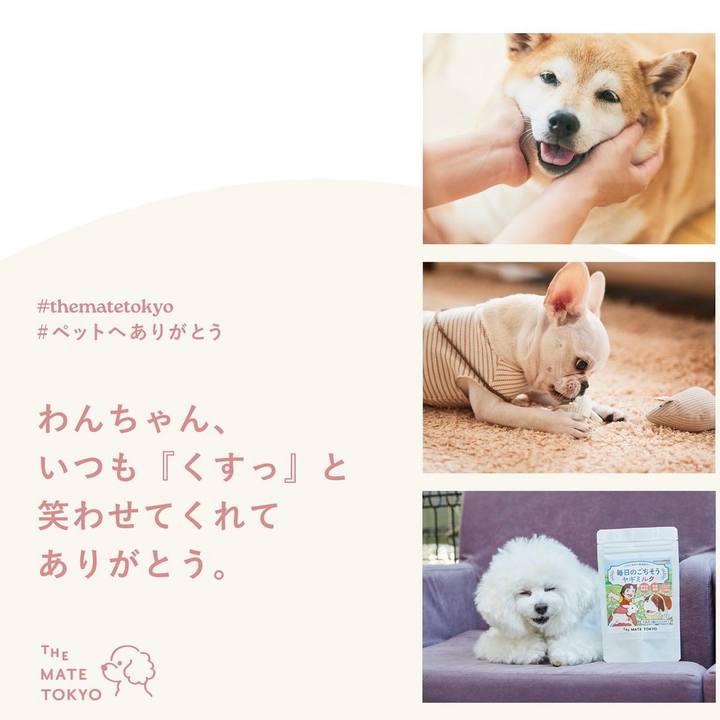 0390c214 841a 49d3 ac50 510cf94fccda 1727058339380