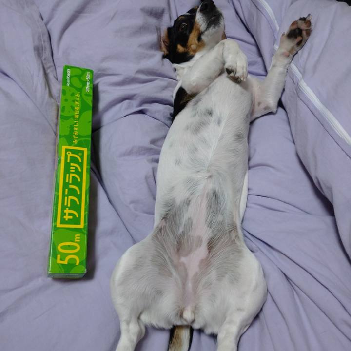 0390d2c2 b010 46f3 b340 fd73a981f4af 1584973791875