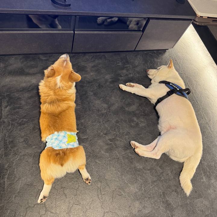 0391592a 80ee 4868 919b 1bc1724c2142 1758876241424