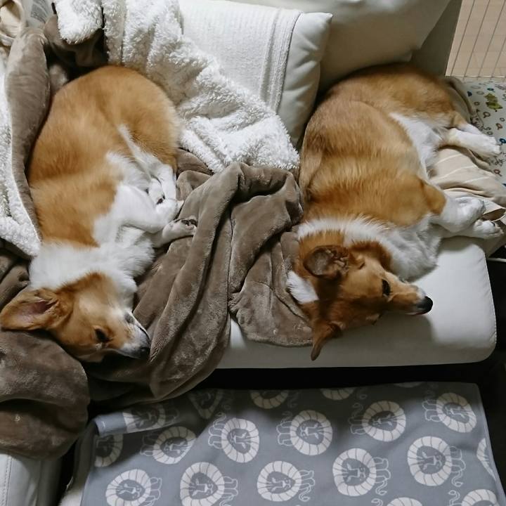 0391a925 03cc 46a2 be1a 5c762cf7b5fb 1547200188941