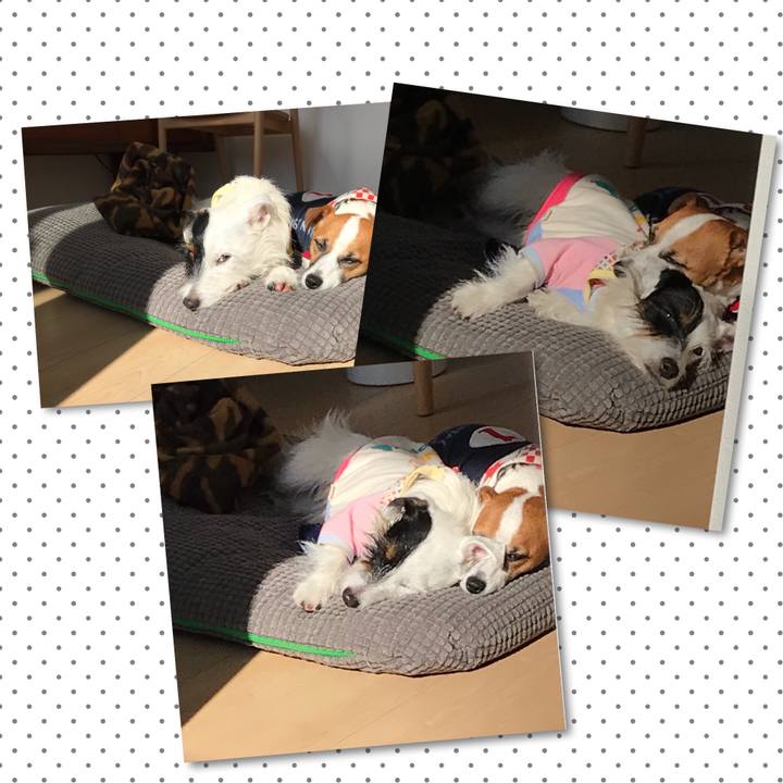 0391c582 d5b0 44b3 a1cb ad240fd5ab37 1511922471688