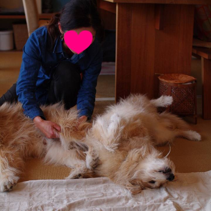 0391e8cb 126c 4f6b 82d3 0dfb92401c60 1554044985798